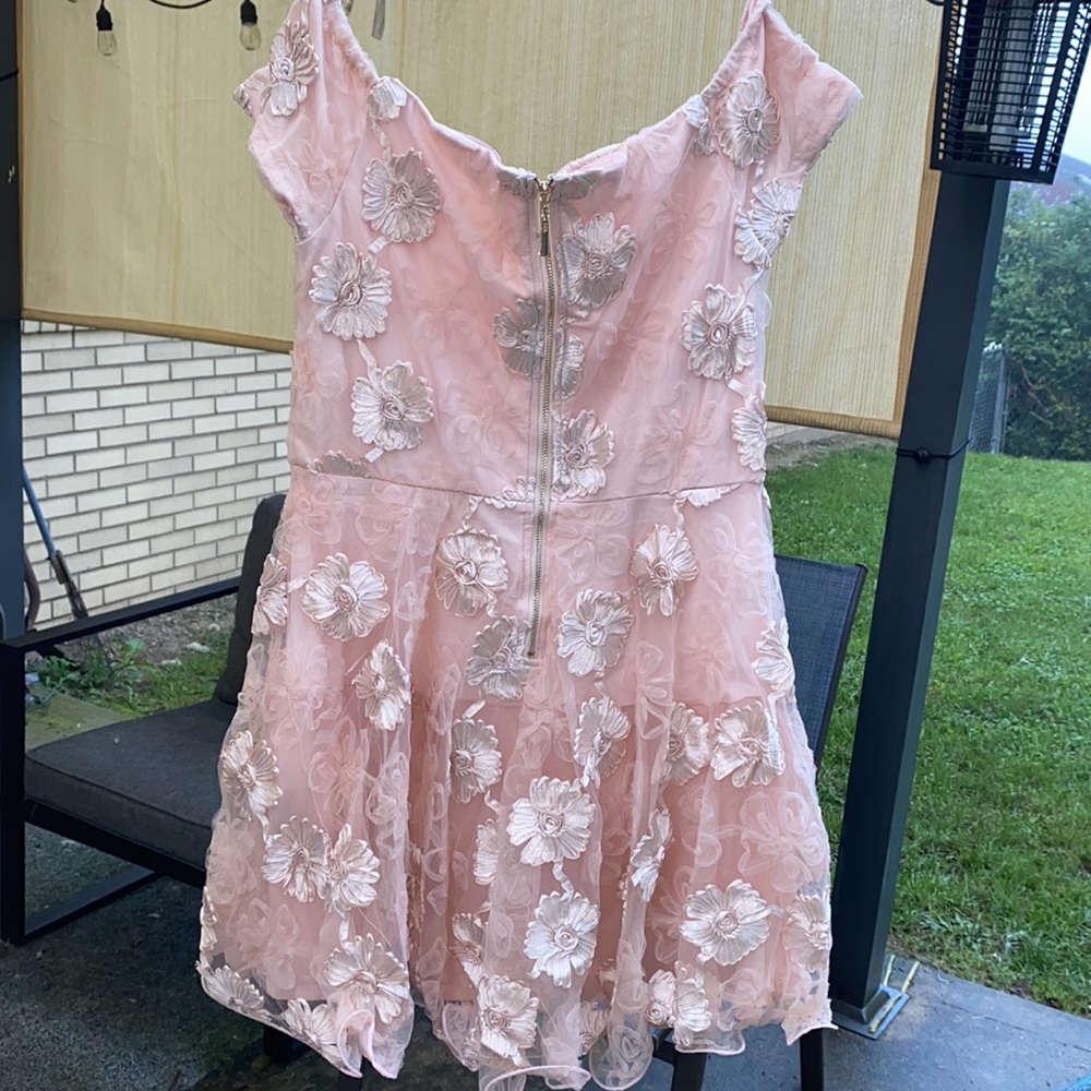 ❌DONATED❌Blush Pink Sweetheart Neckline Floral Mesh Overlay Lined Dress - Picture 7 of 16